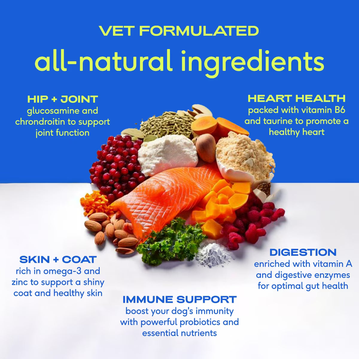 Native Pet Daily Dog Vitamins
