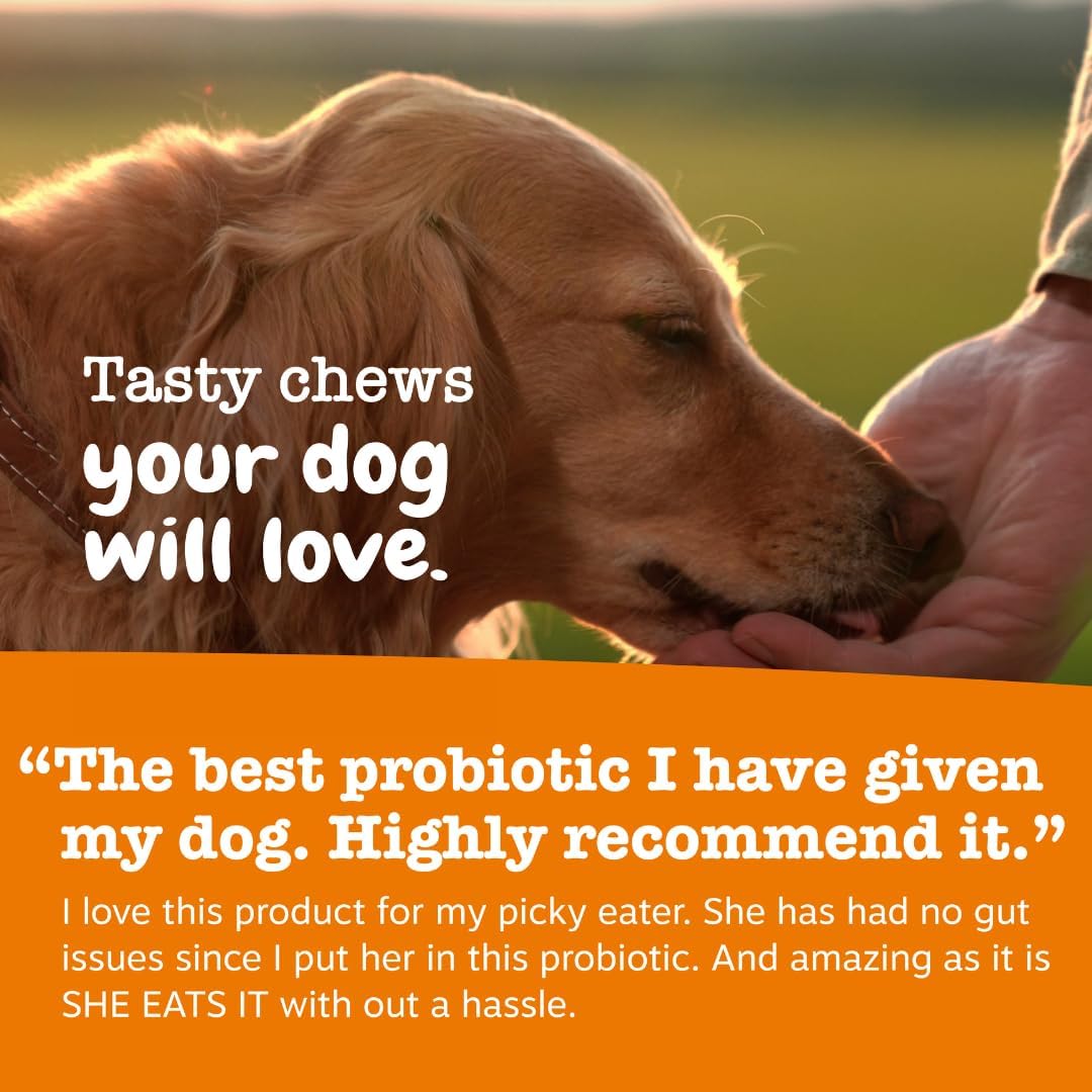 Zesty Paws Probiotics with DE111