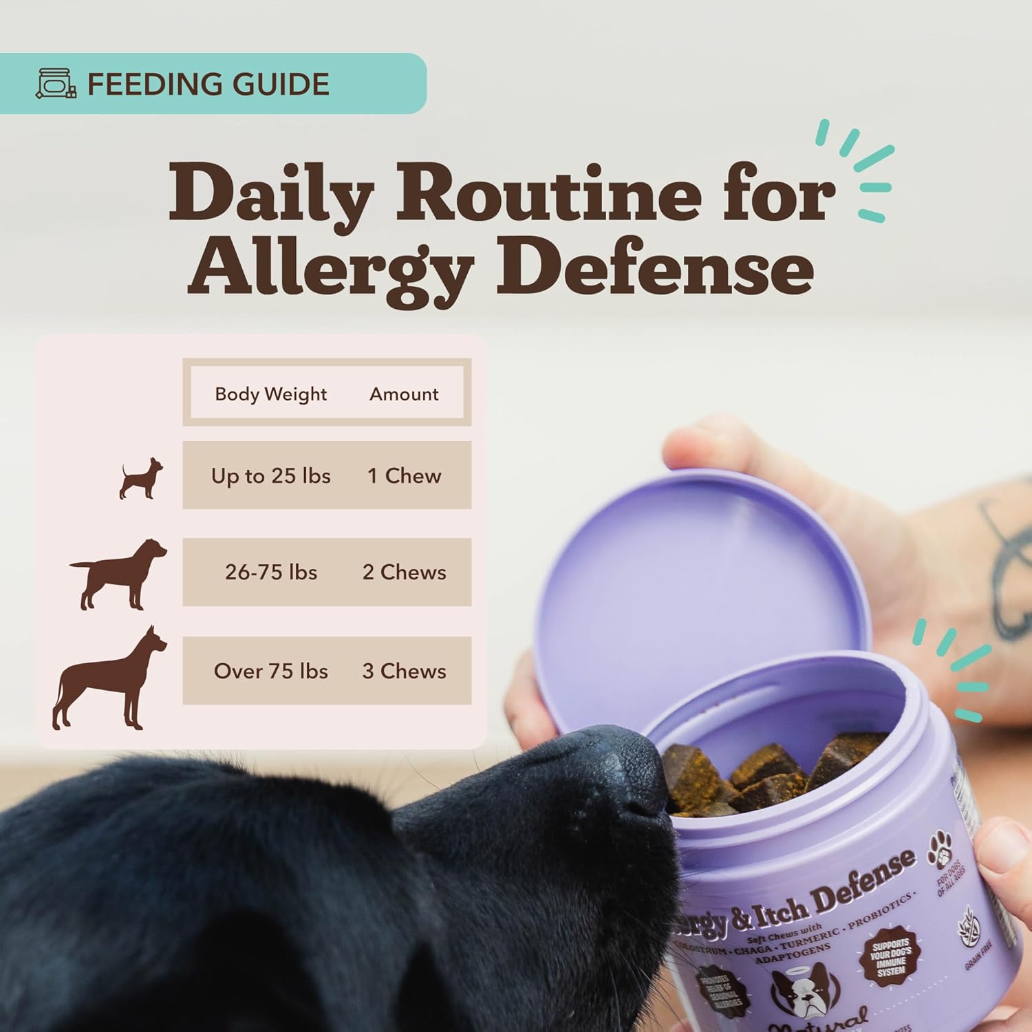 Natural Dog Company Allergy & Itch Defense