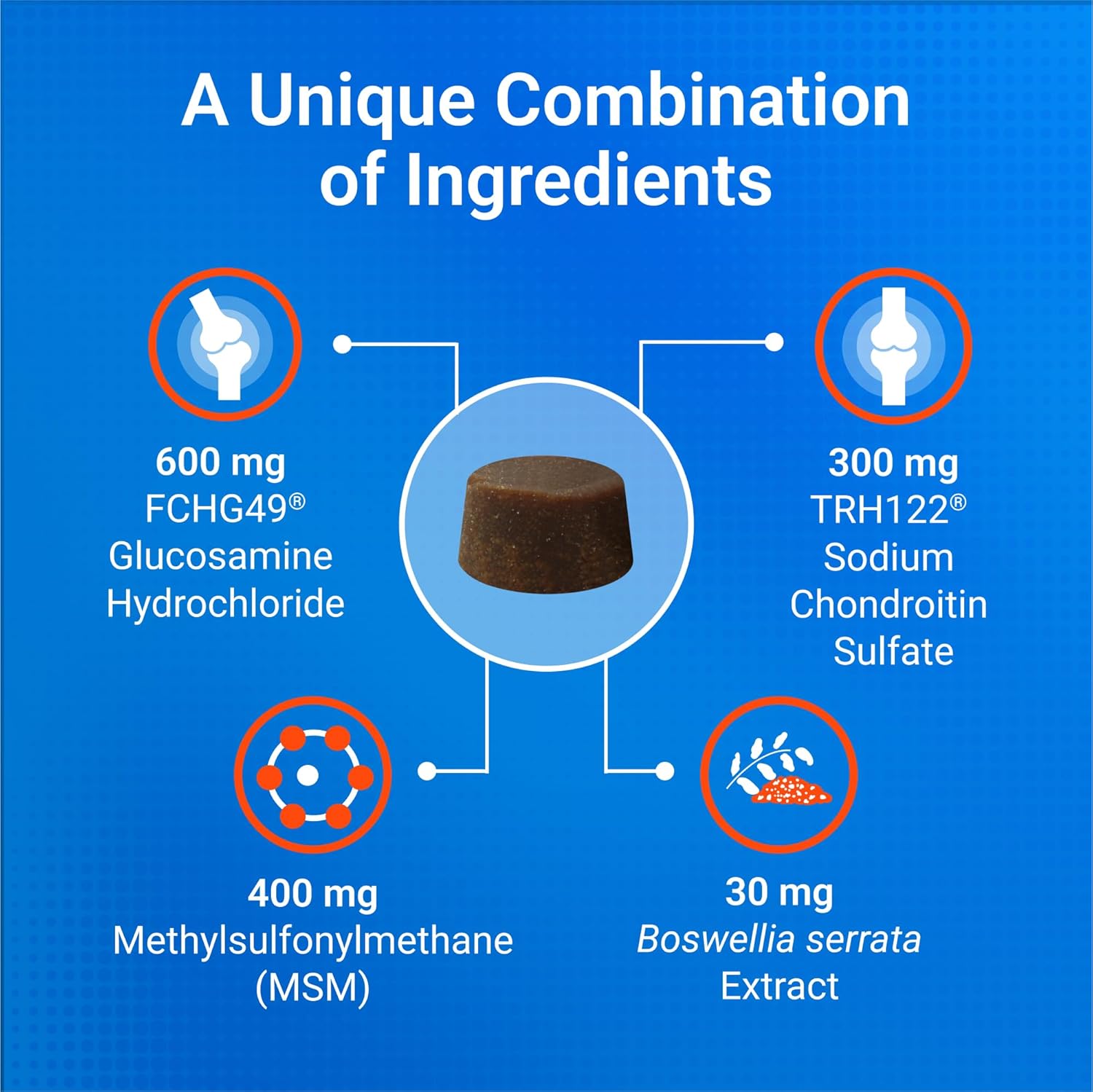Nutramax Cosequin DS Plus MSM