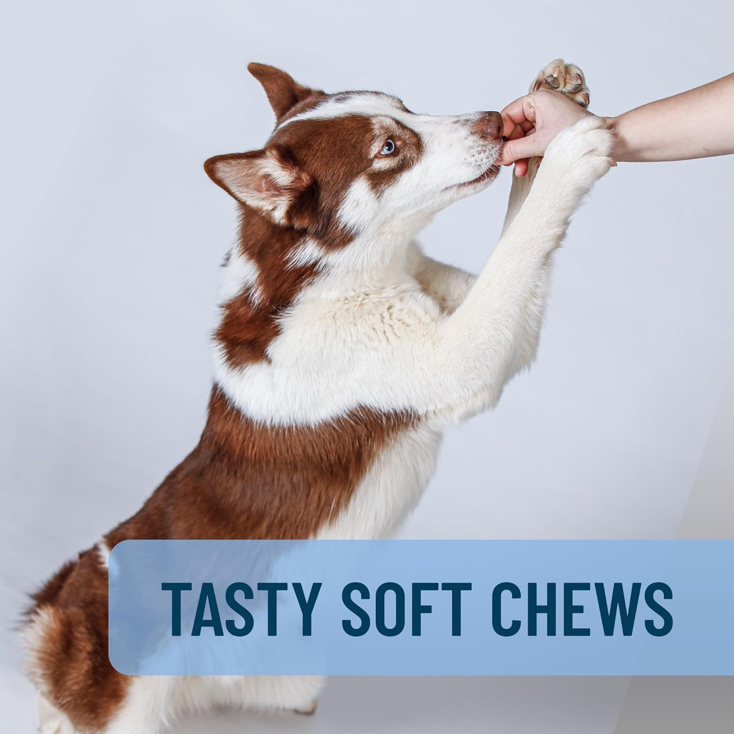 Nutramax Solliquin Soft Chews