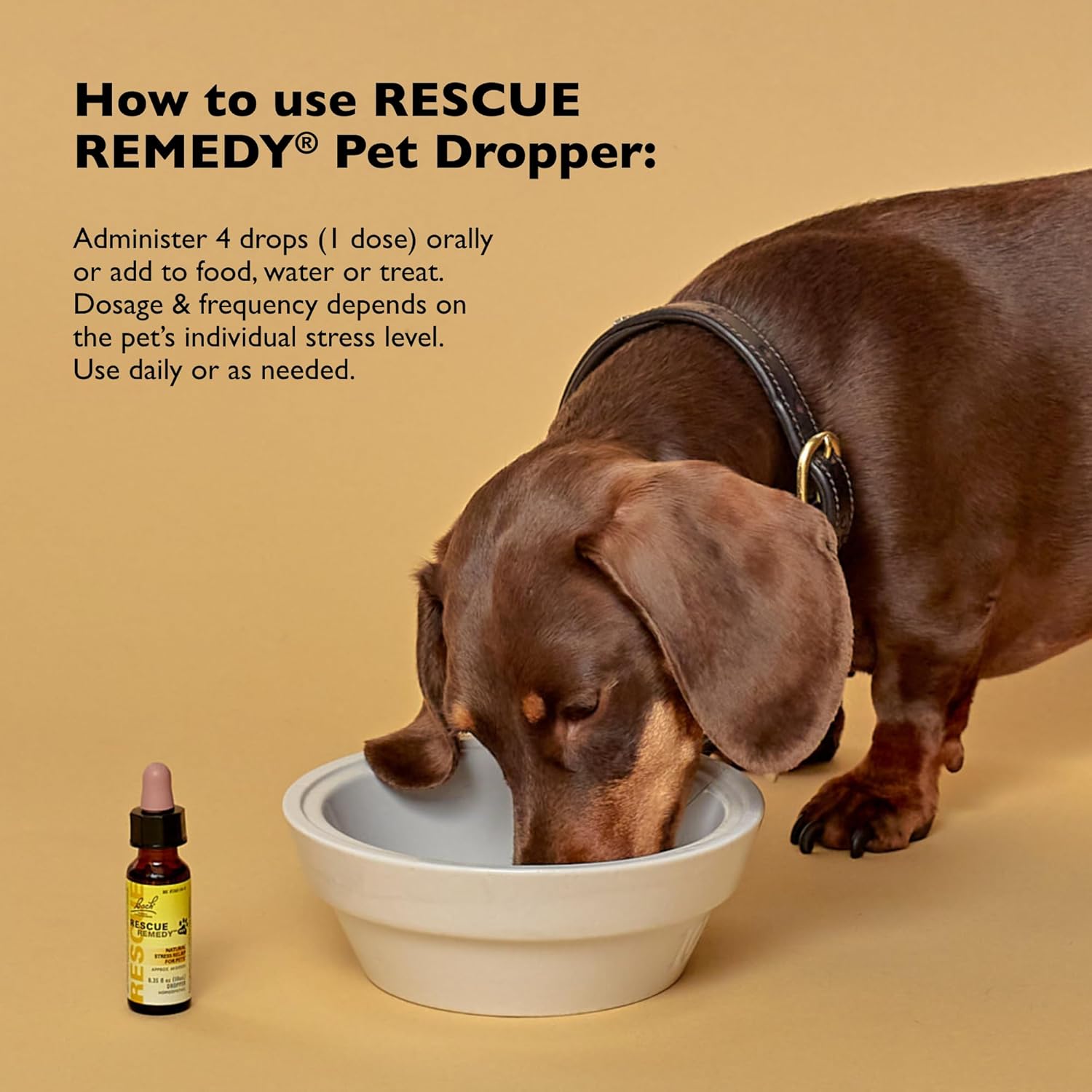 Bach Rescue Remedy Pet Drops