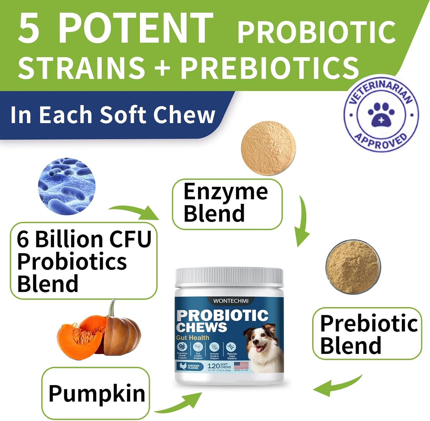 WONTECHMI Probiotics for Dogs