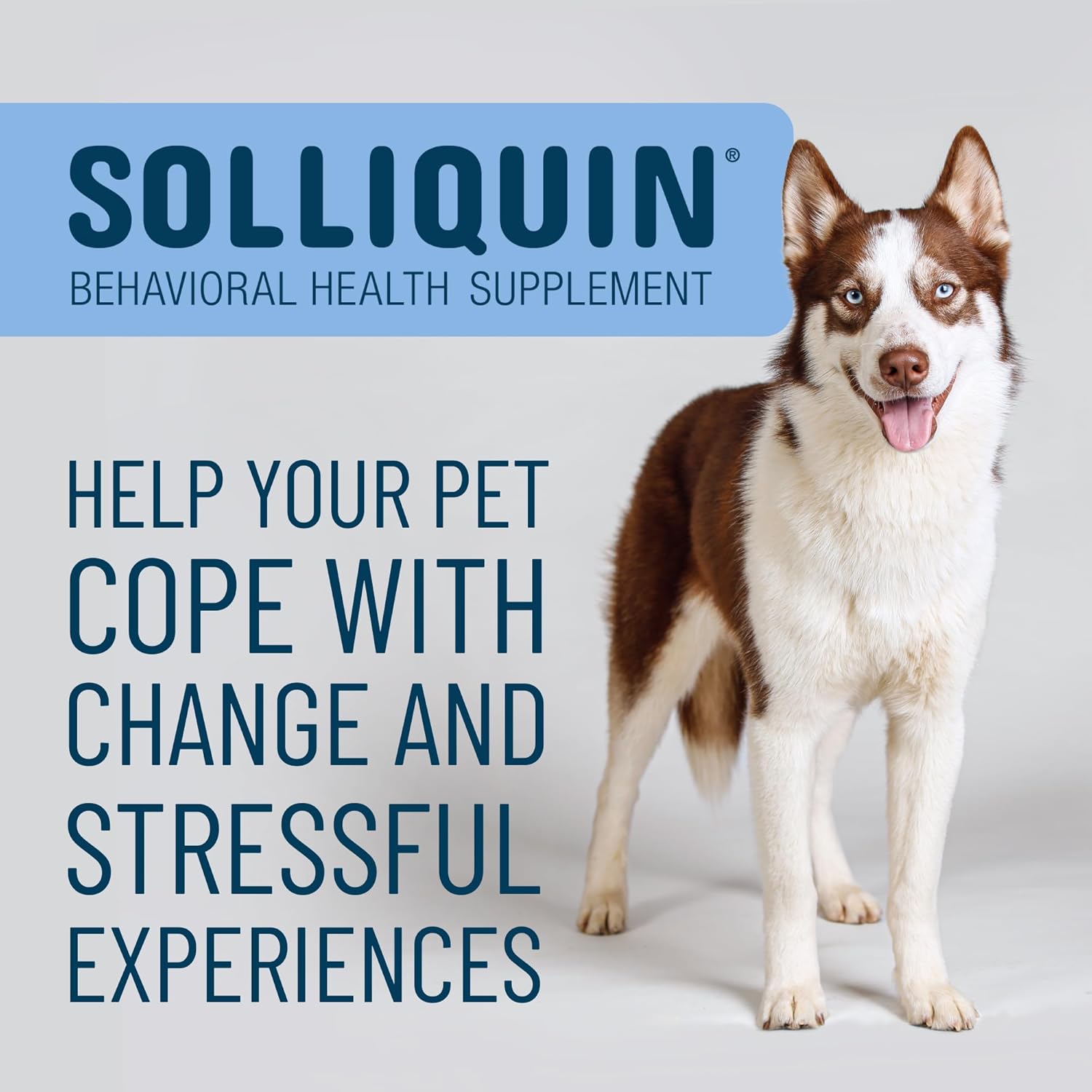 Nutramax Solliquin Soft Chews