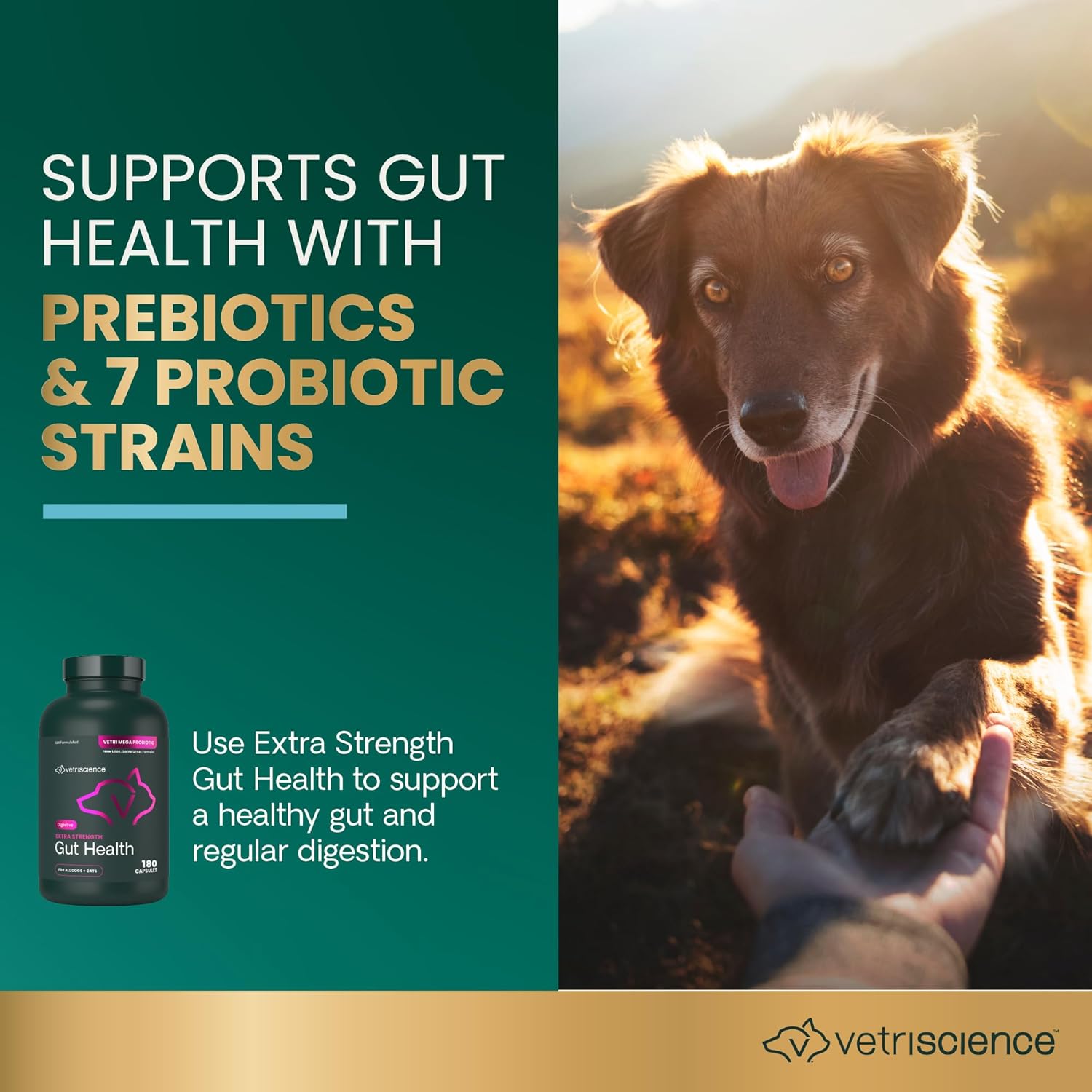 Vetri-Mega Probiotic (Allergy Support)