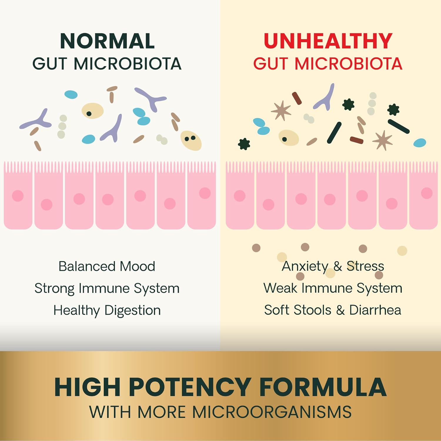 Vetri-Mega Probiotic (Allergy Support)