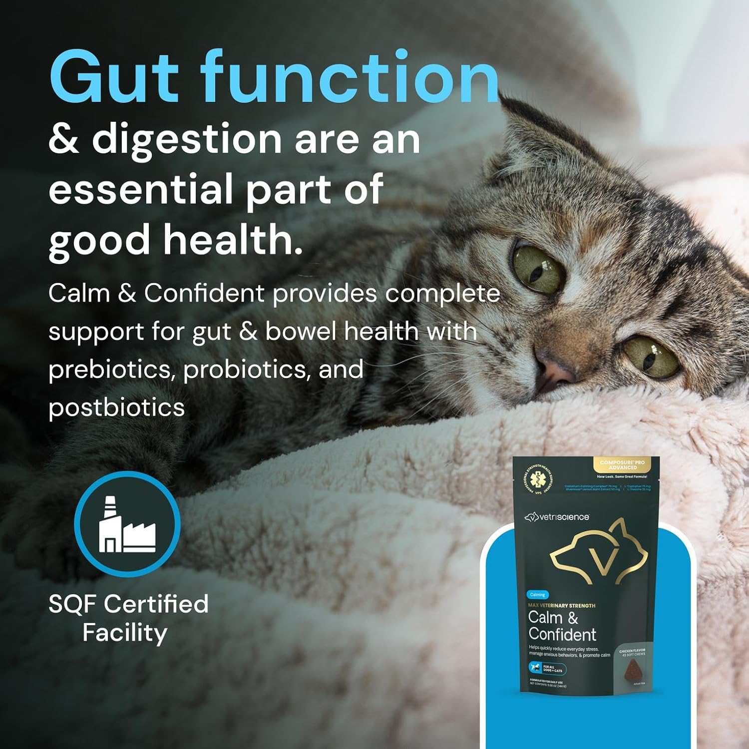 VetriScience Composure Chews