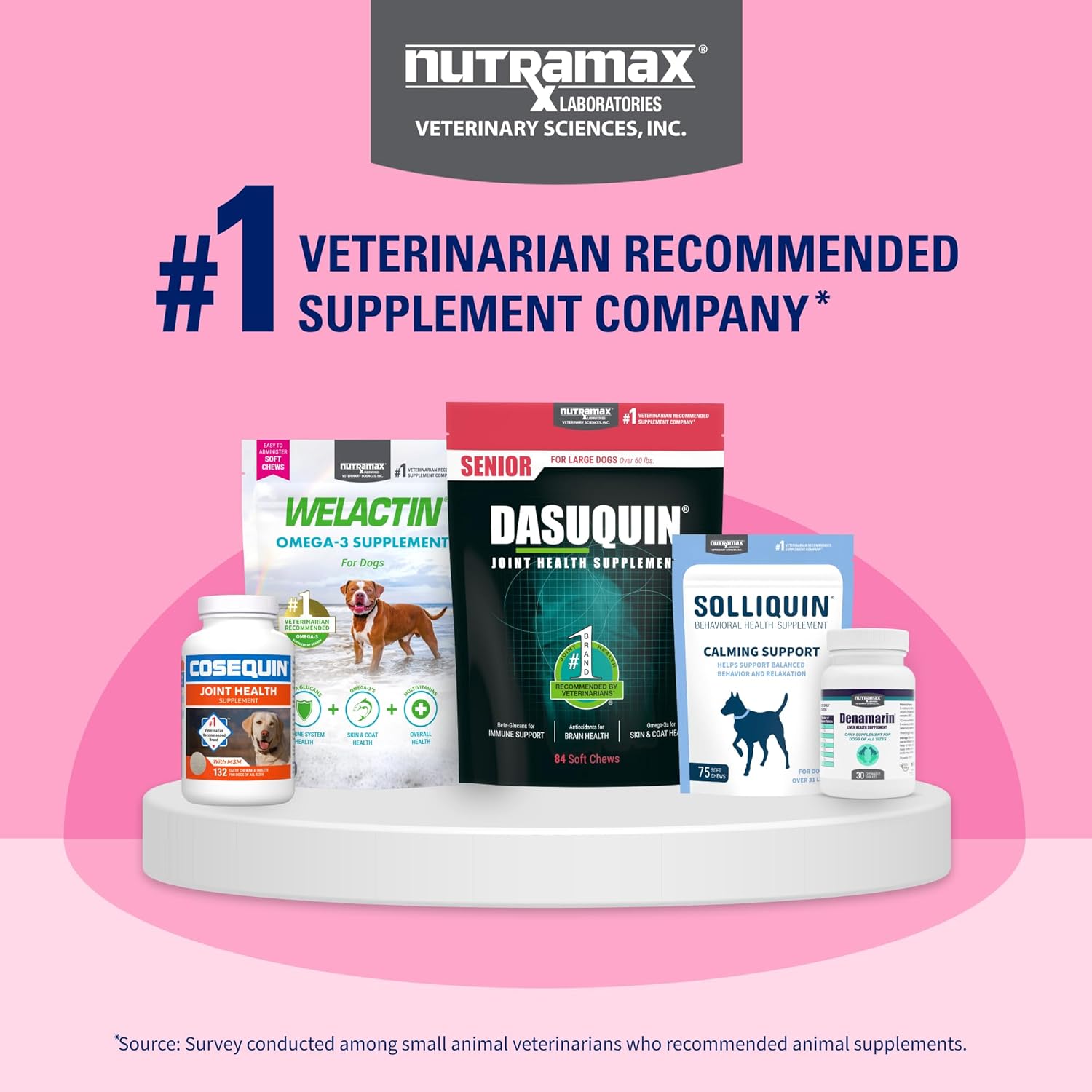 Nutramax Proviable-DC