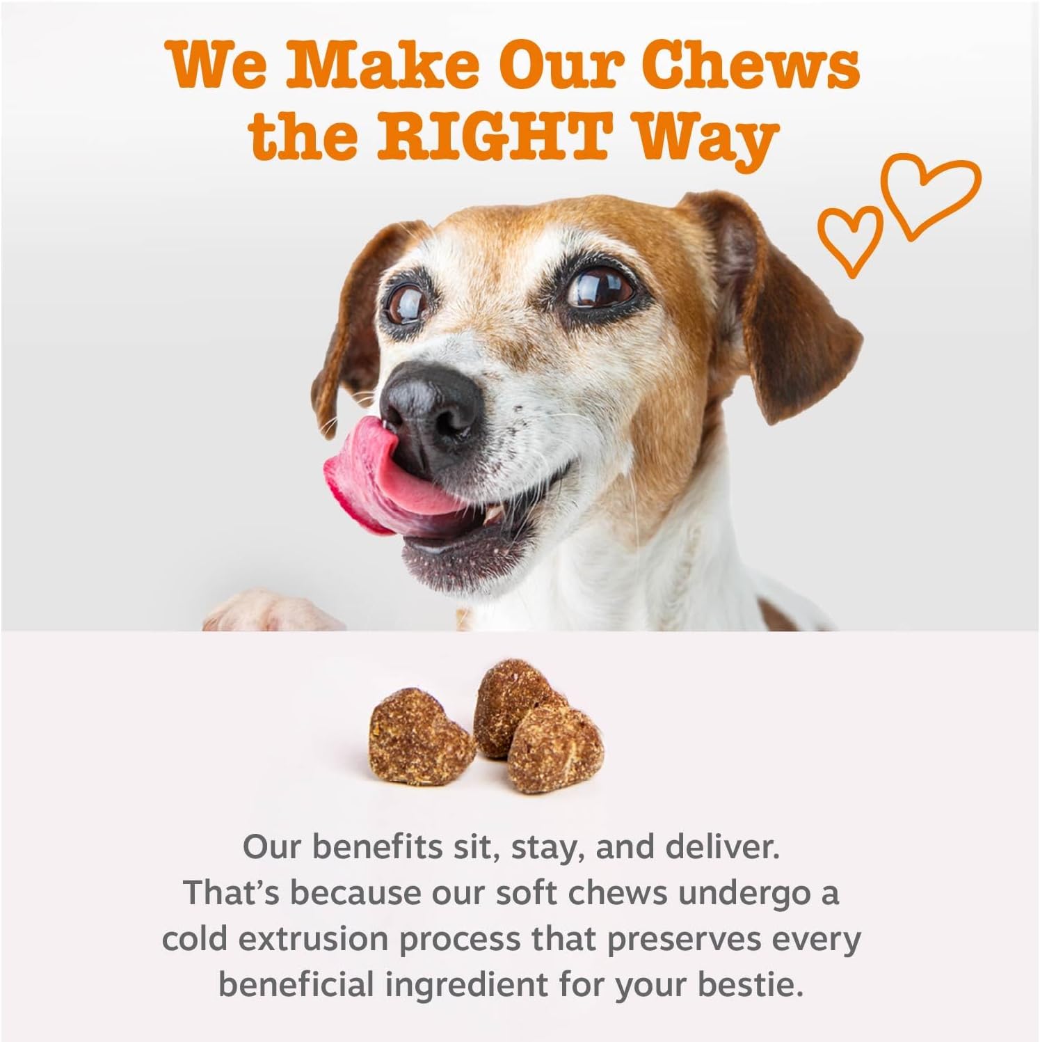 Zesty Paws Probiotic Bites