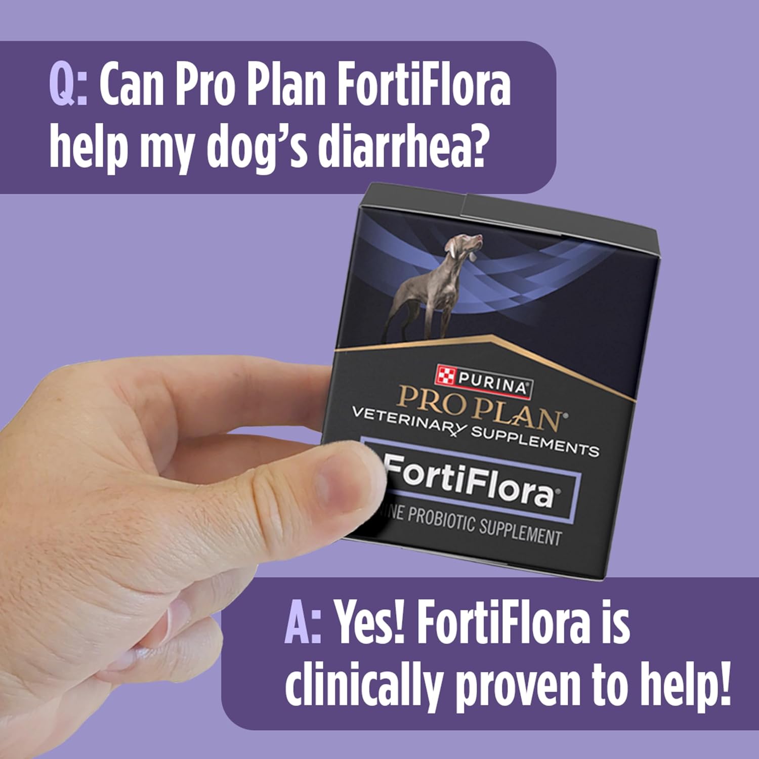 Purina FortiFlora Probiotics