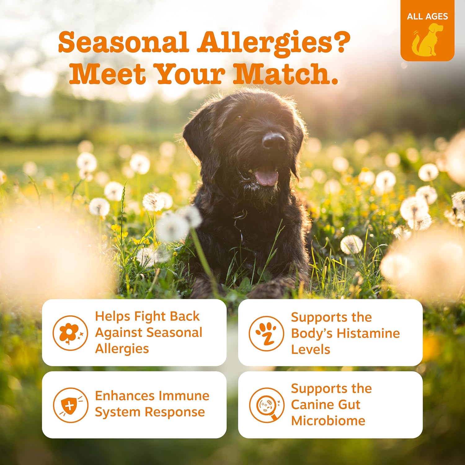 Zesty Paws Allergy Immune Bites