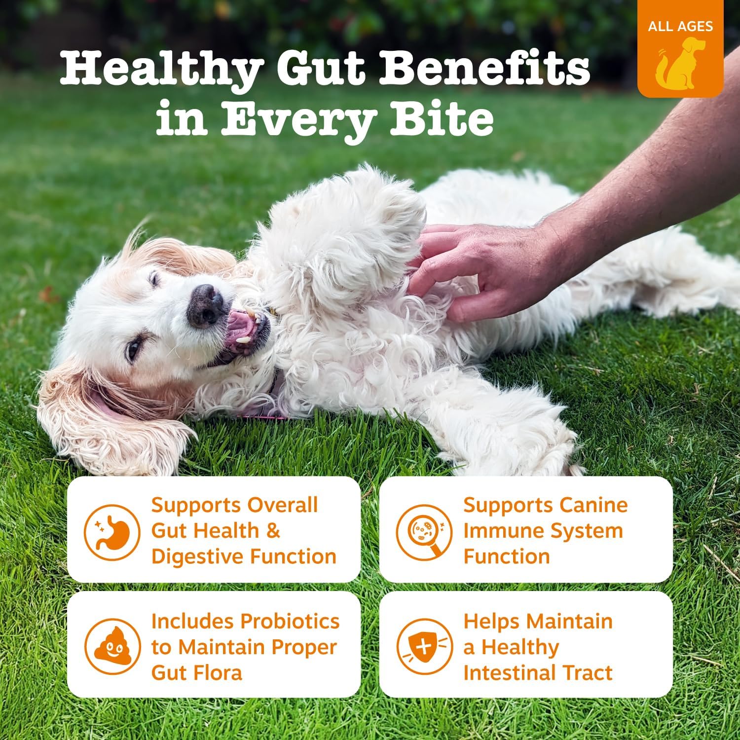 Zesty Paws Probiotic Bites