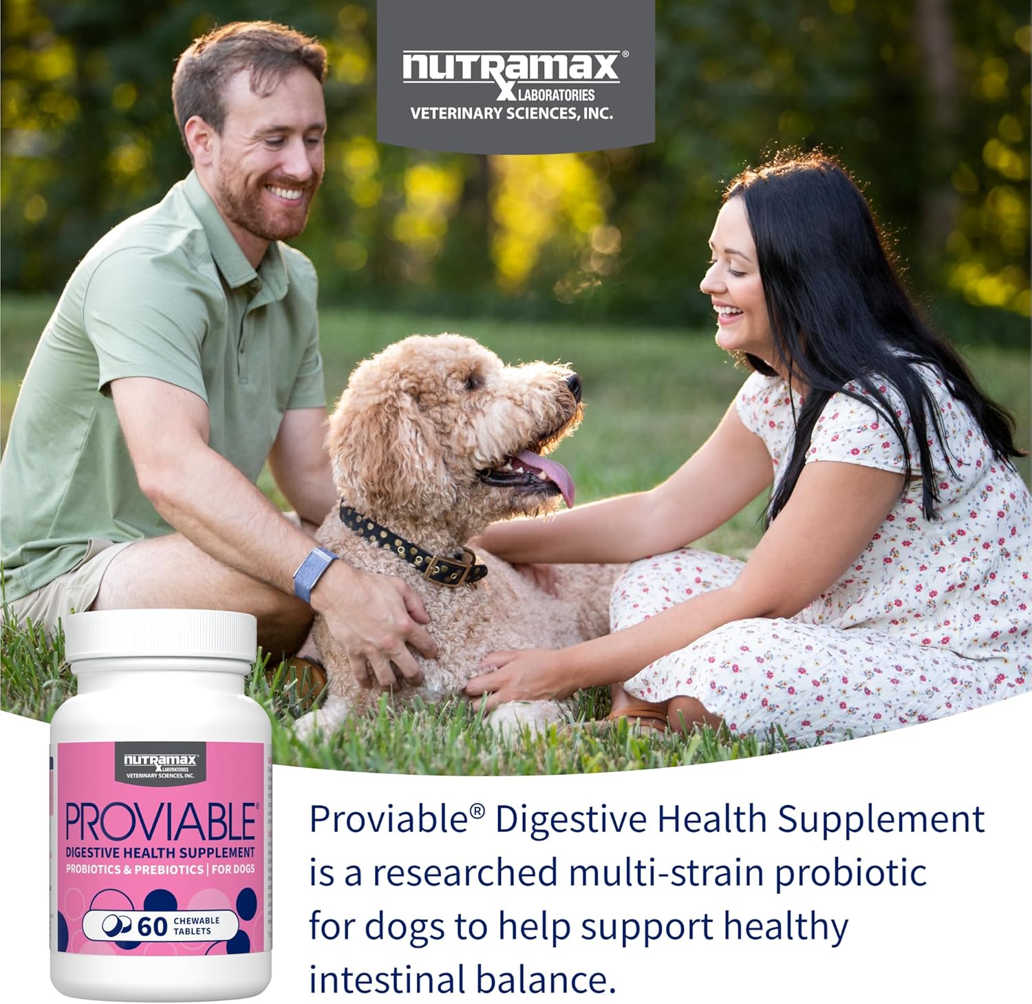 Nutramax Proviable-DC