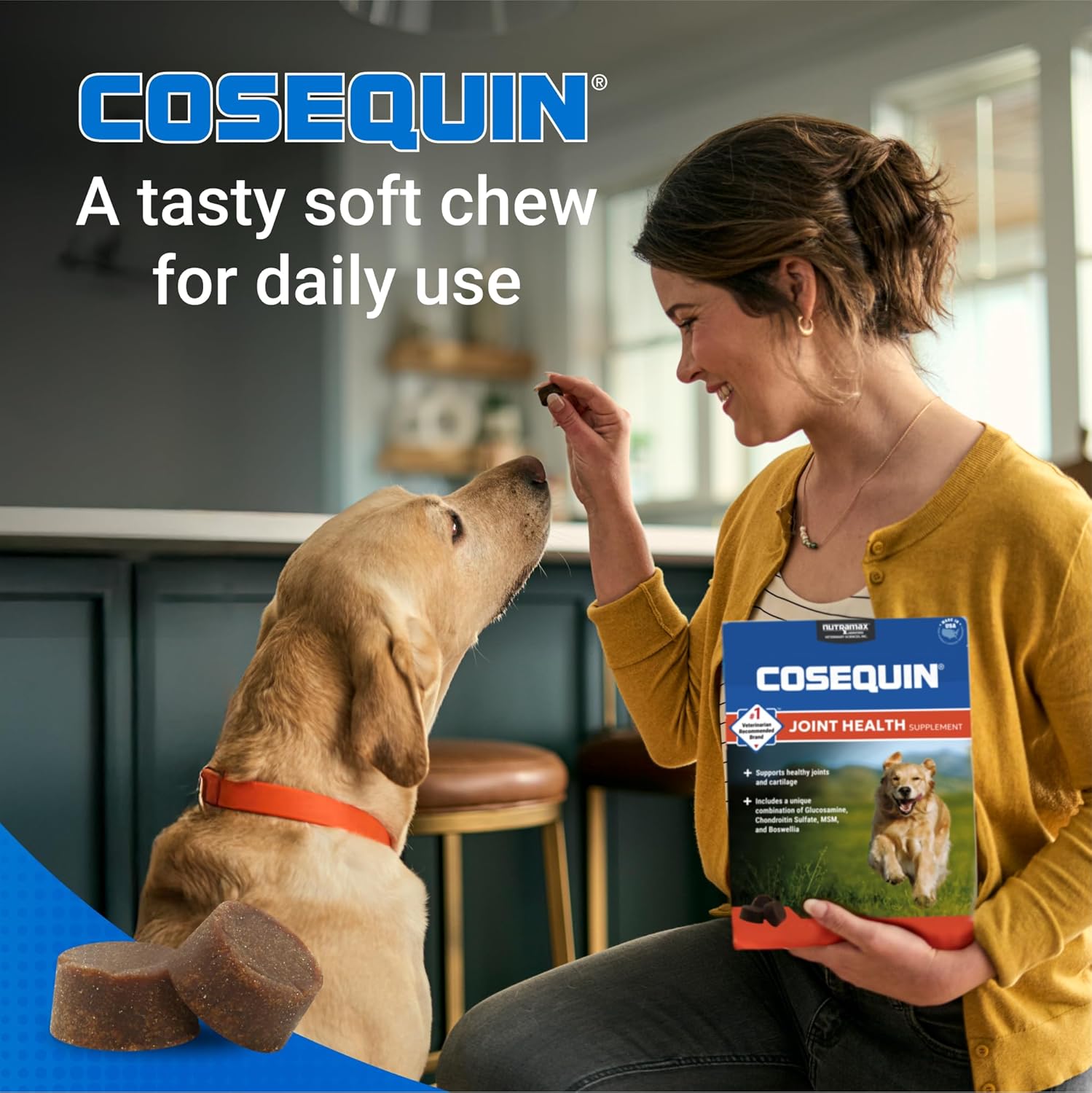 Nutramax Cosequin DS Plus MSM