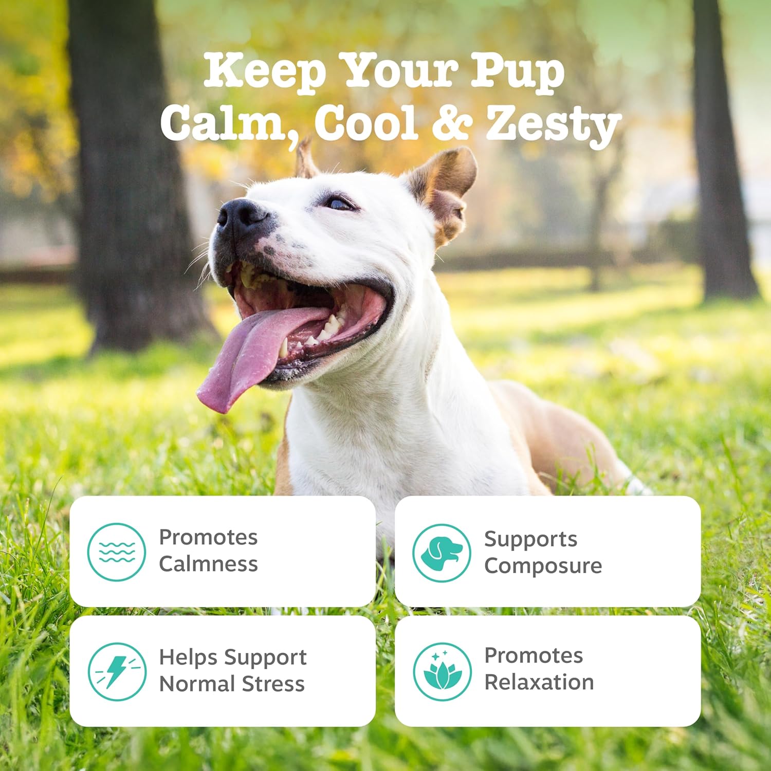 Zesty Paws Calming Bites (90ct)