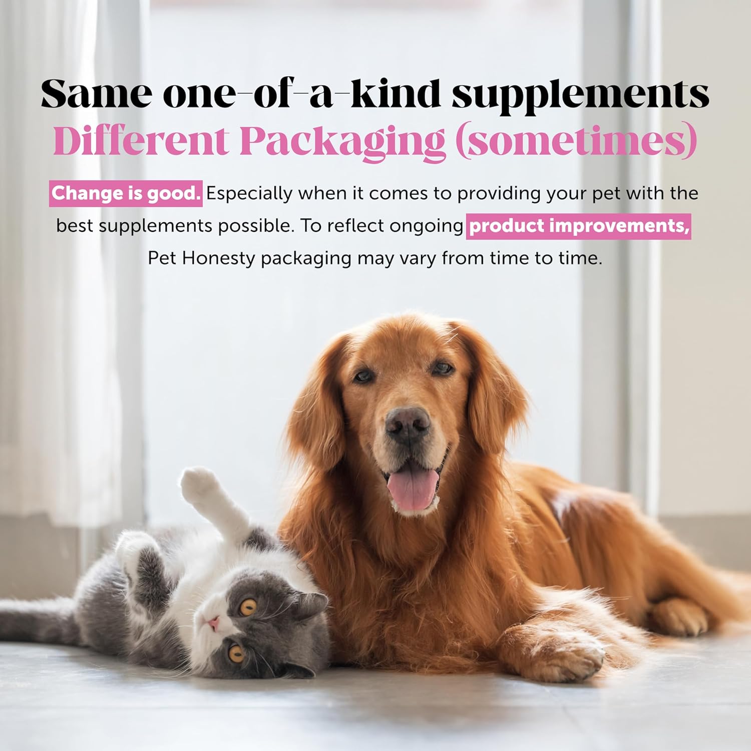 PetHonesty Digestive Probiotics