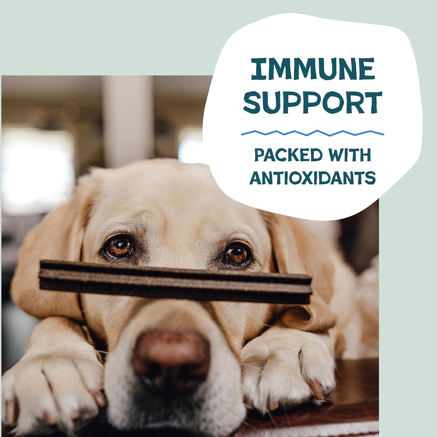 Shameless Pets Blueberry & Mint Dental Chews