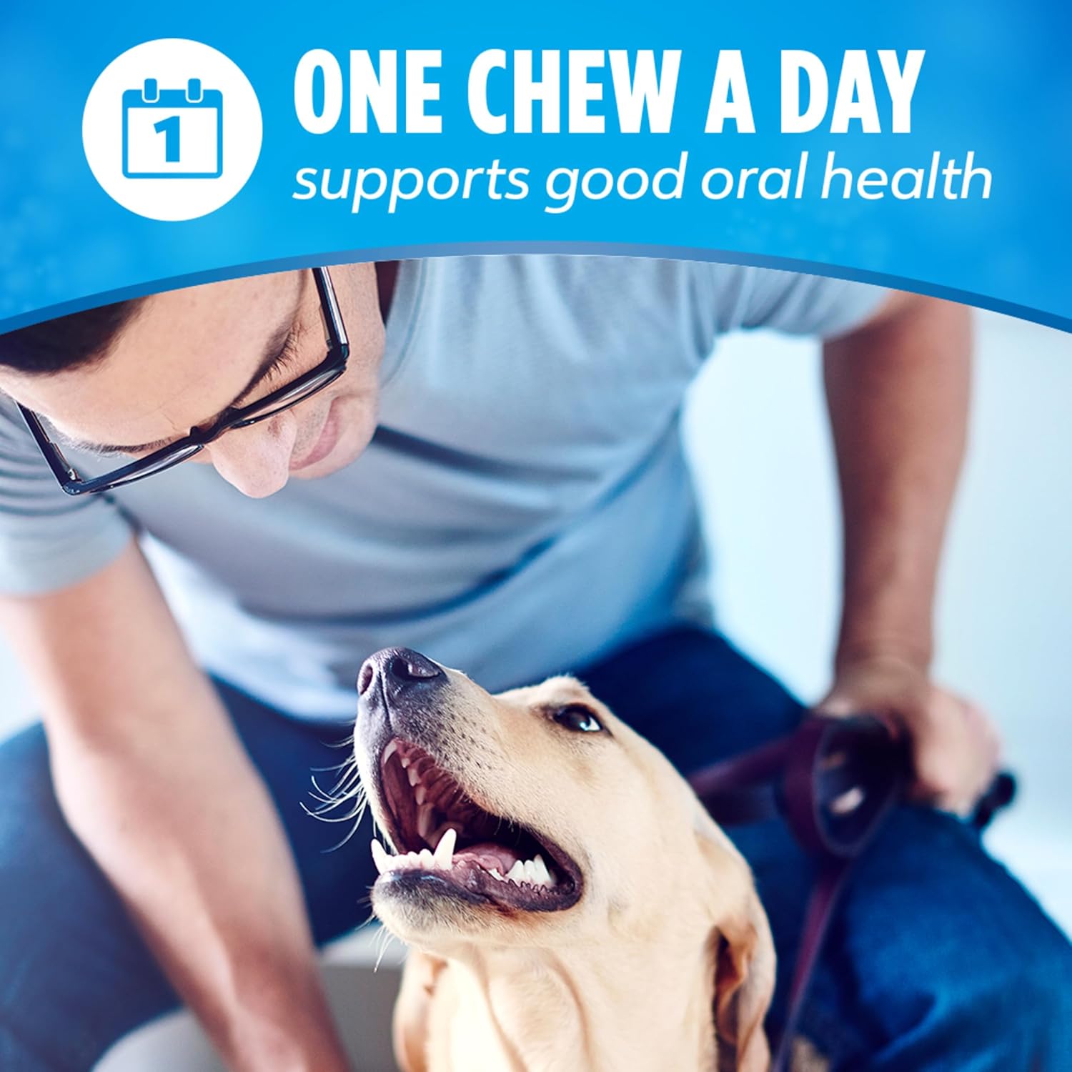 Purina DentaLife Daily Dental Chews