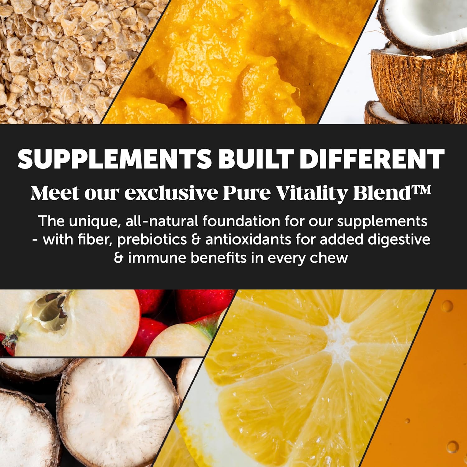 PetHonesty 10-in-1 Multivitamin