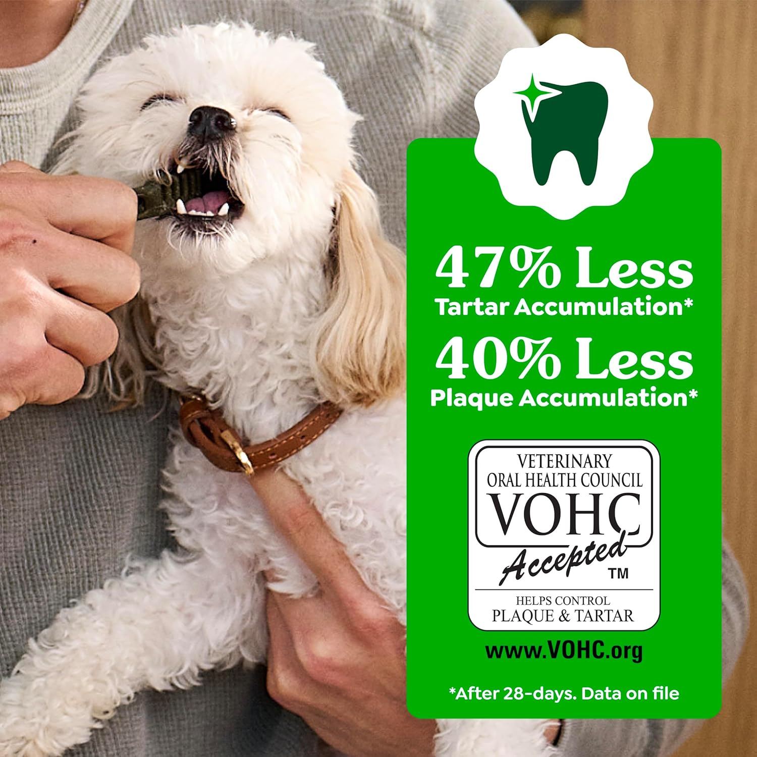 Greenies Original Dental Treats