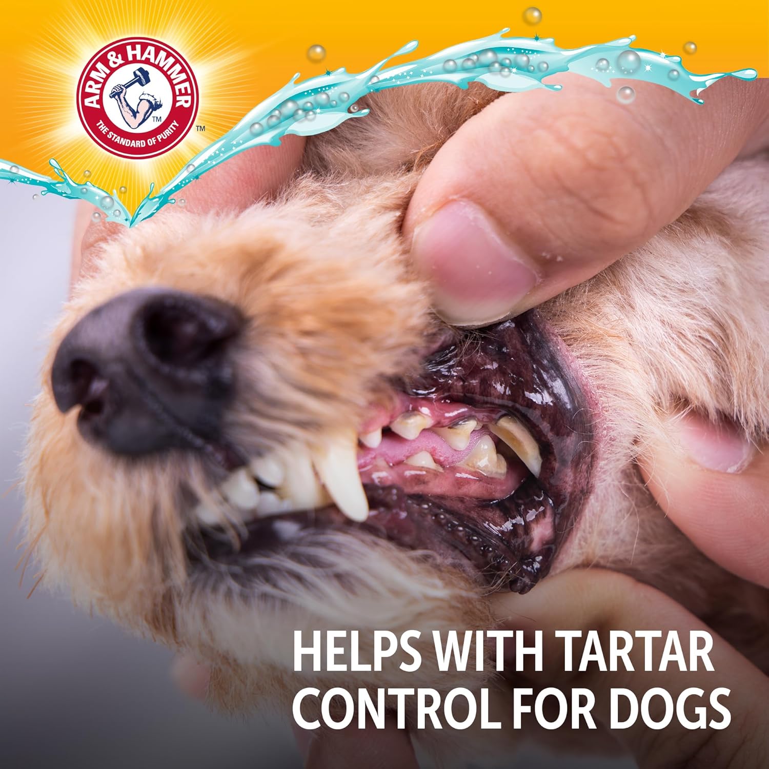 Arm & Hammer Dental Water Additive