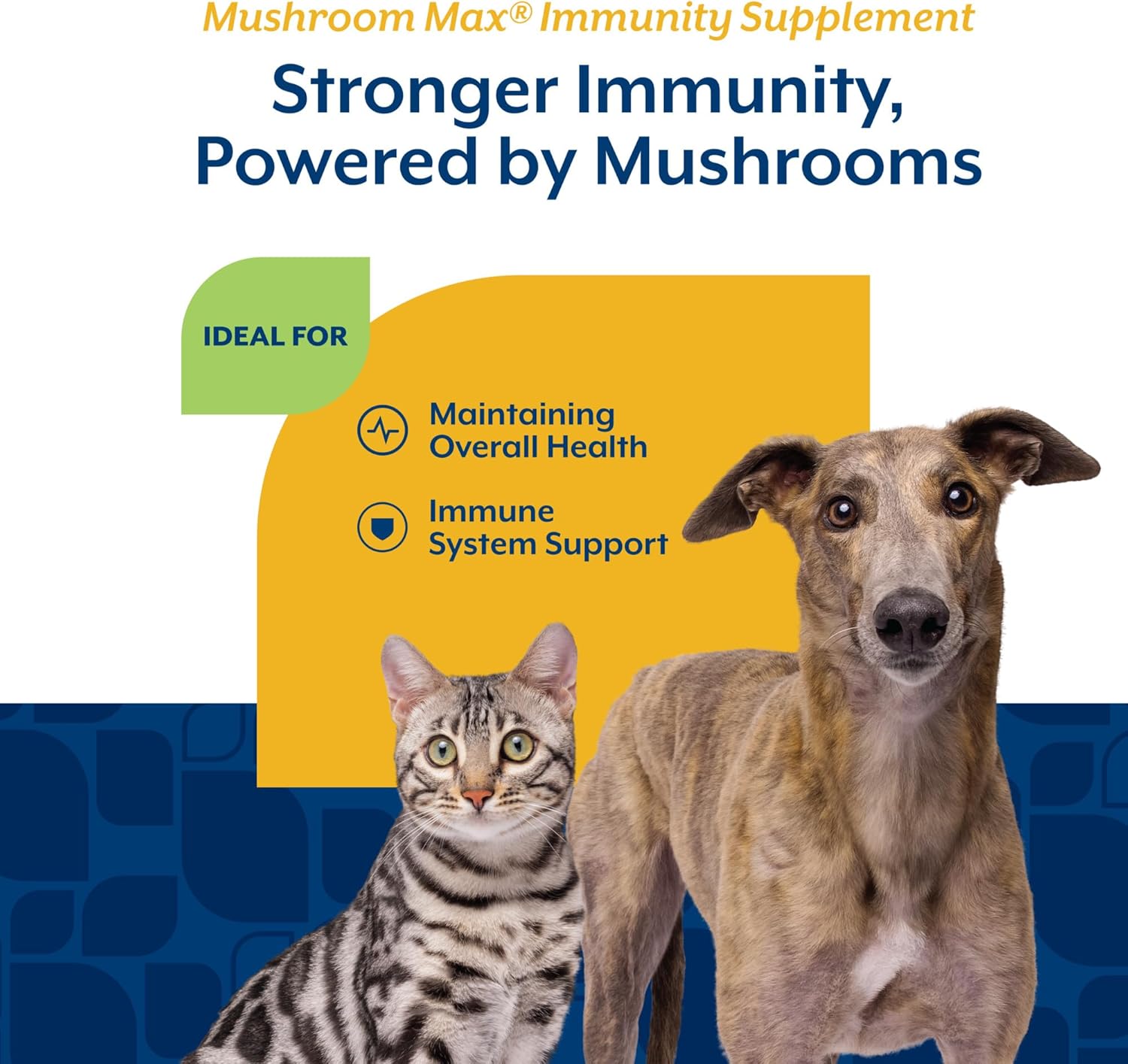 NaturPet Immuno Boost