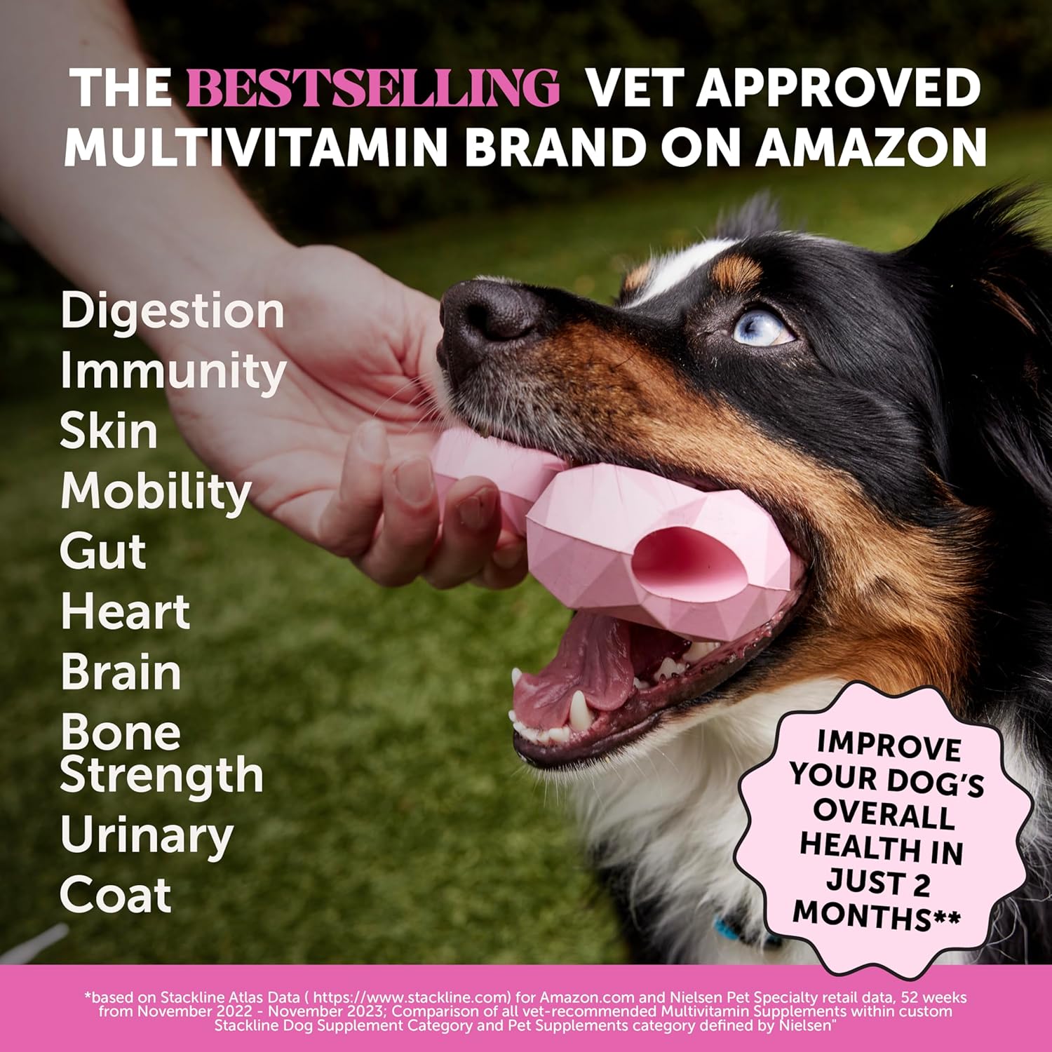 PetHonesty 10-in-1 Multivitamin