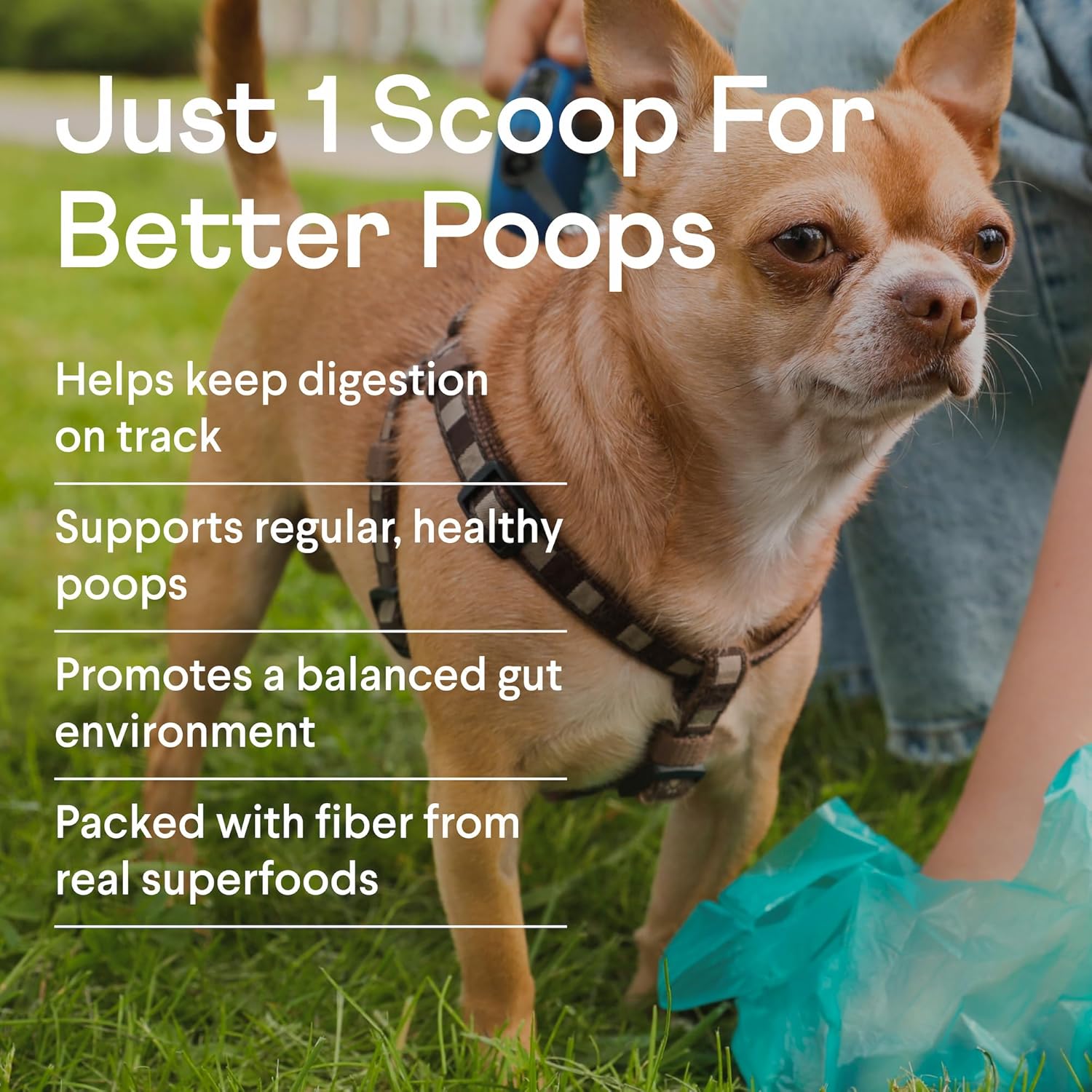 Finn Immunity & Gut Health Supplement