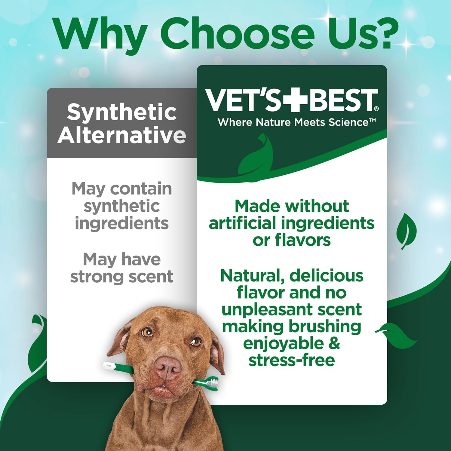 Vet's Best Enzymatic Dental Gel Toothpaste