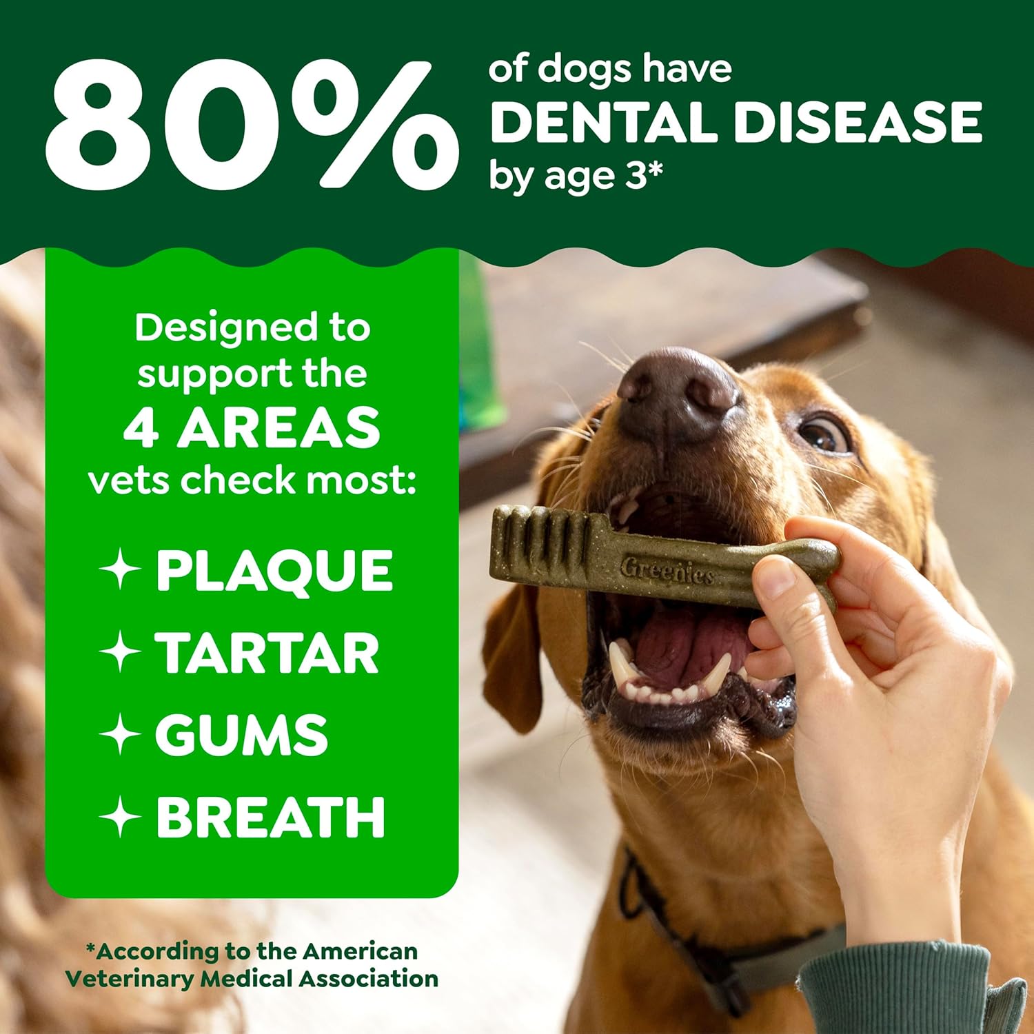 Greenies Original Dental Treats