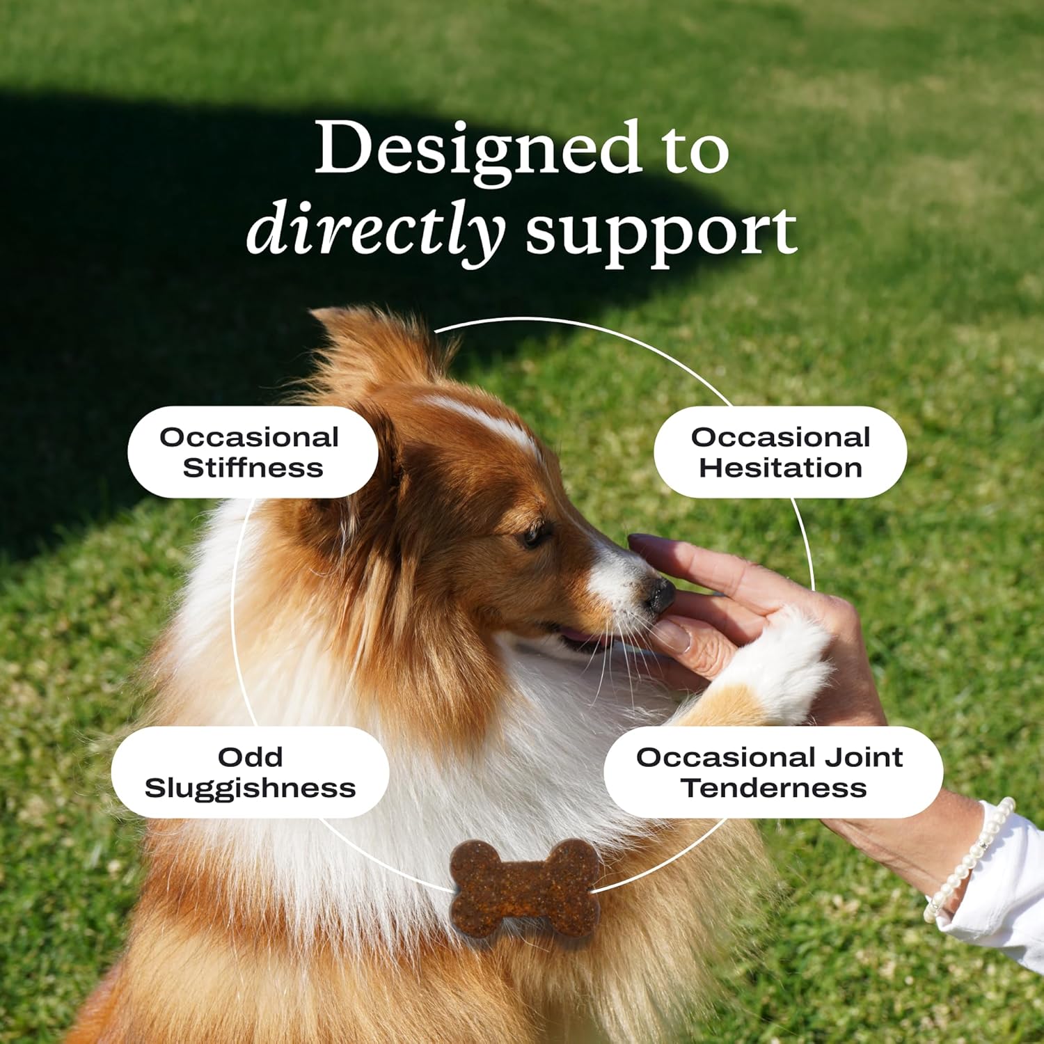 PetLab Co. Joint Care Chews