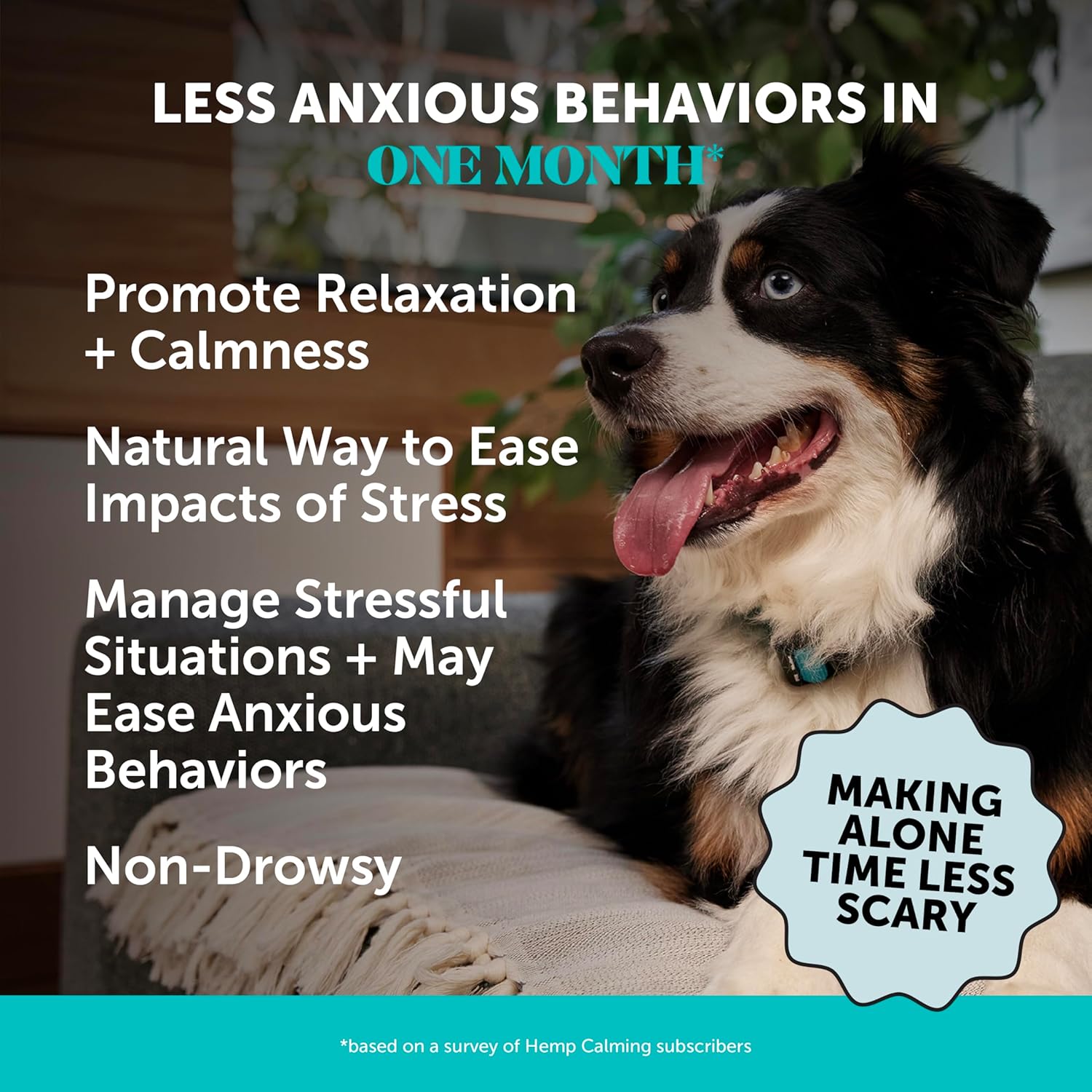 PetHonesty Calming Hemp Chews