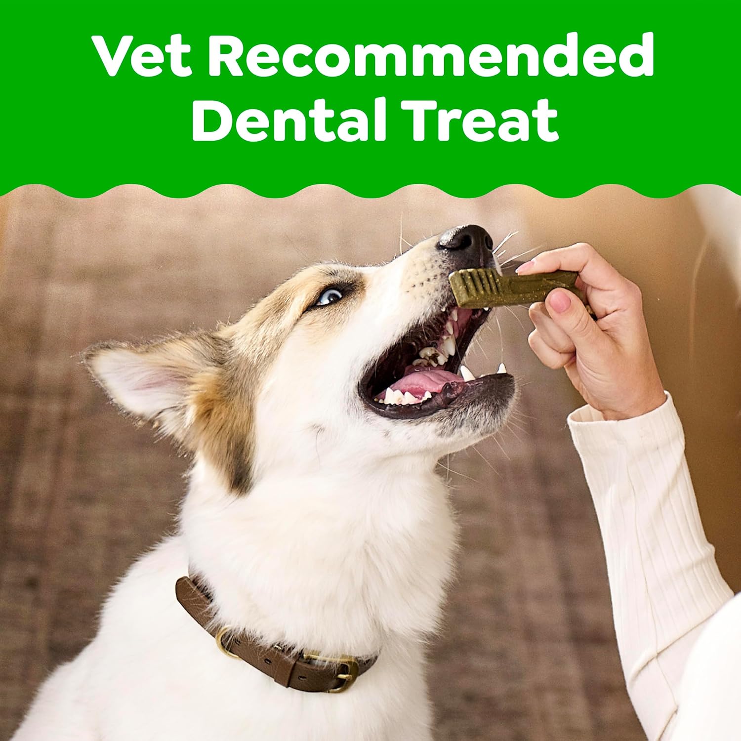 Greenies Original Dental Treats