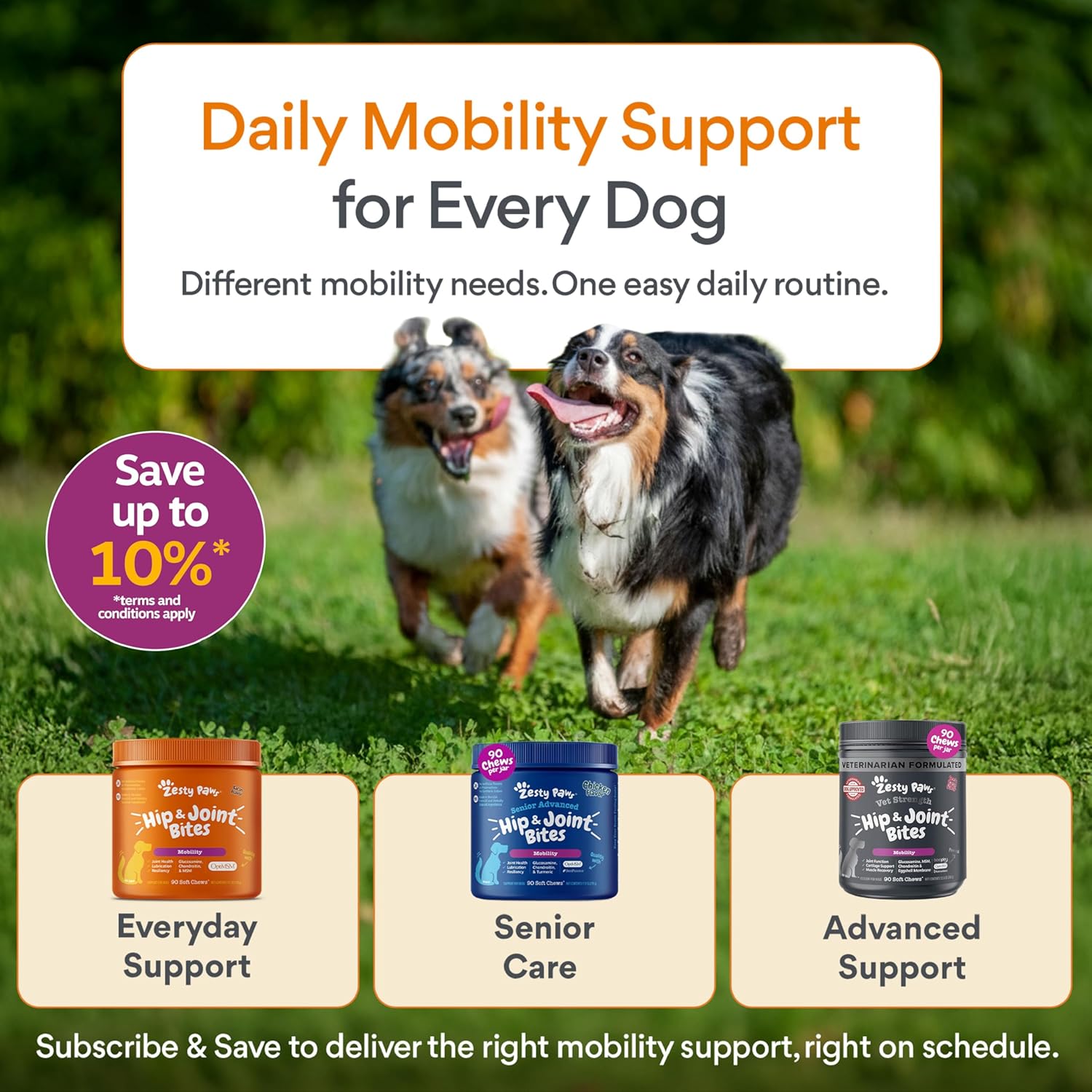 Zesty Paws Mobility Bites
