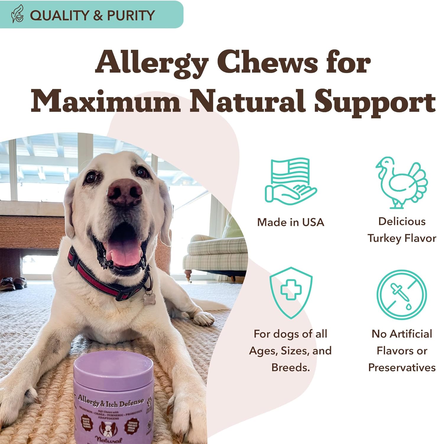 Natural Dog Company Allergy & Itch Defense