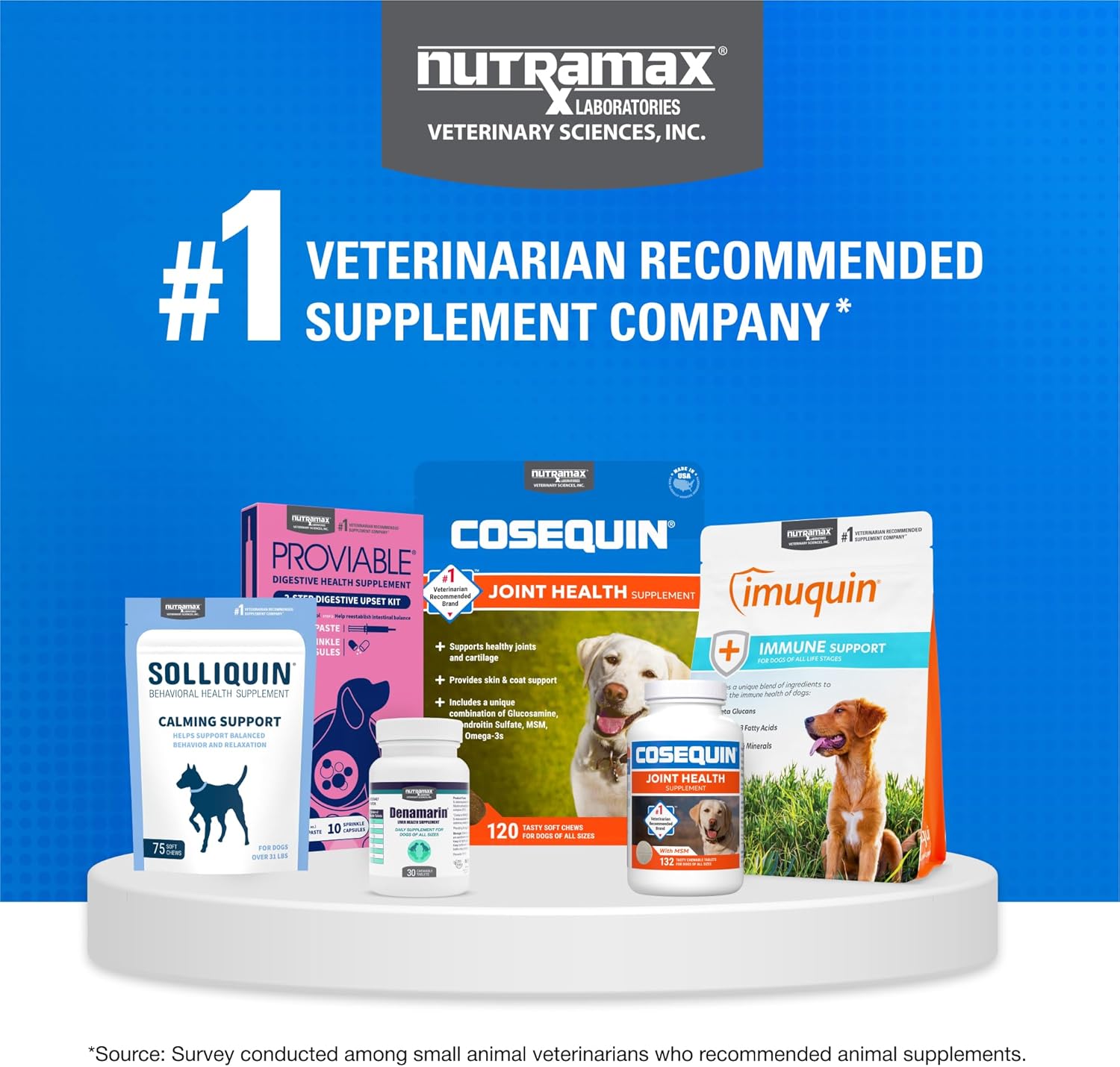 Nutramax Cosequin DS Plus MSM