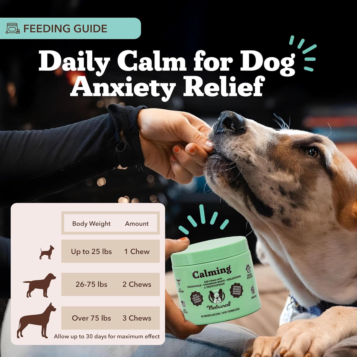 Natural Dog Company Calming Supplement