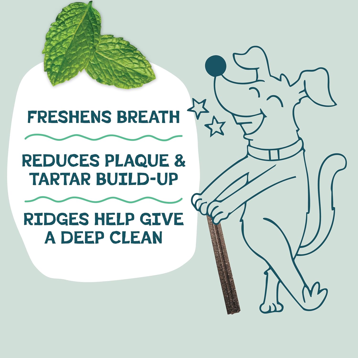 Shameless Pets Blueberry & Mint Dental Chews