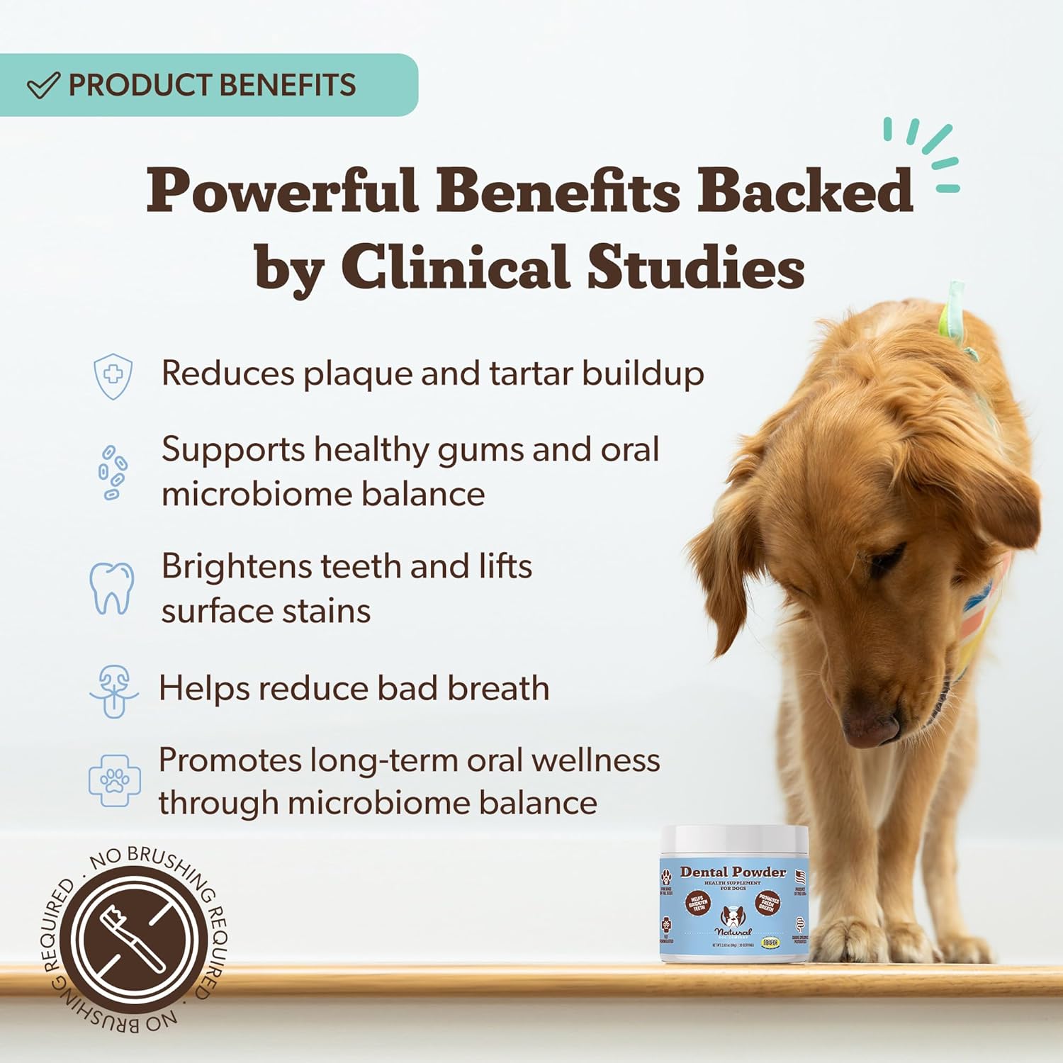 Natural Dog Company Dental Powder