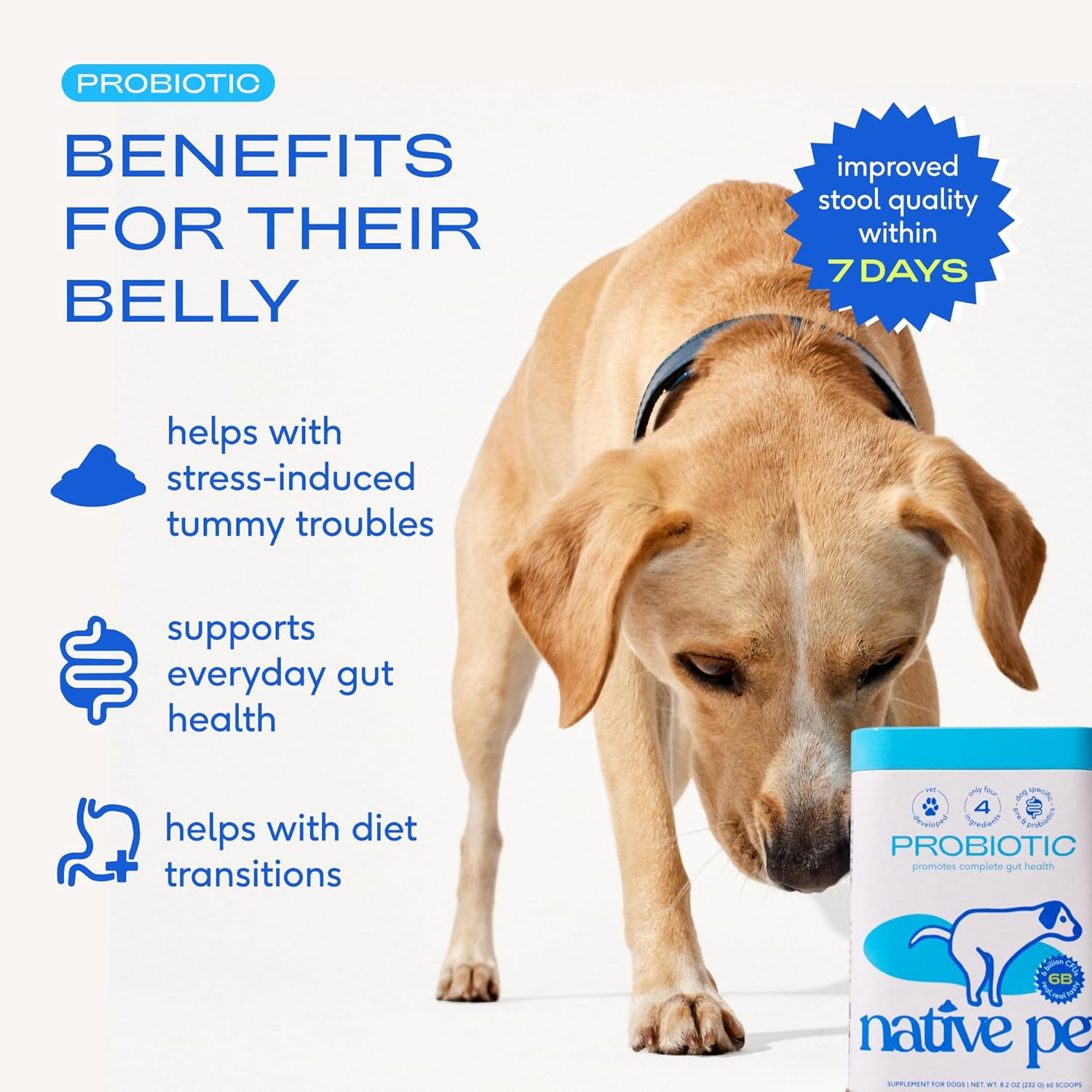 Native Pet Probiotic Powder