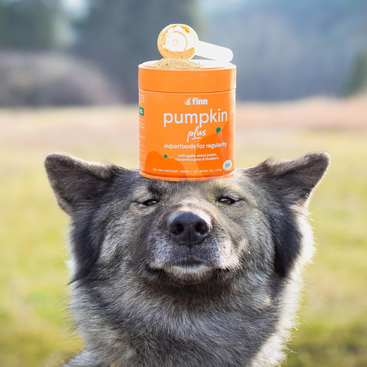 Finn Immunity & Gut Health Supplement