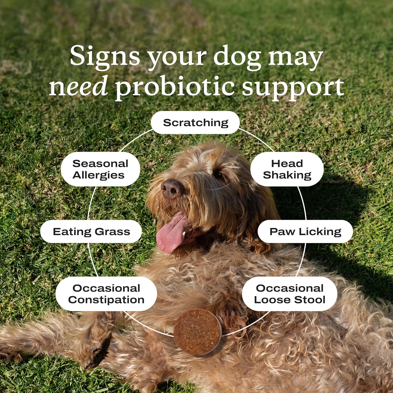 PetLab Co. Probiotics for Dogs