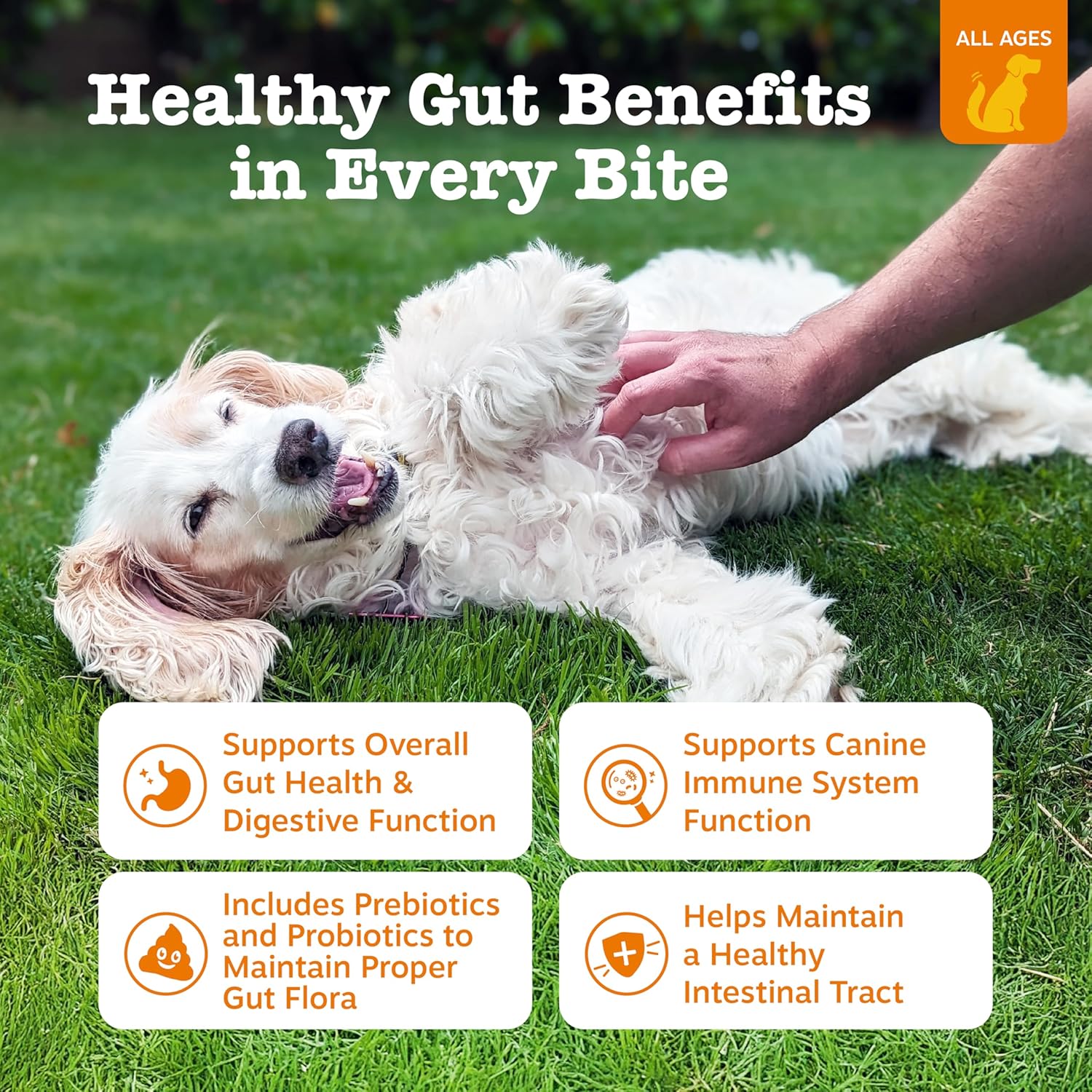 Zesty Paws Probiotics with DE111