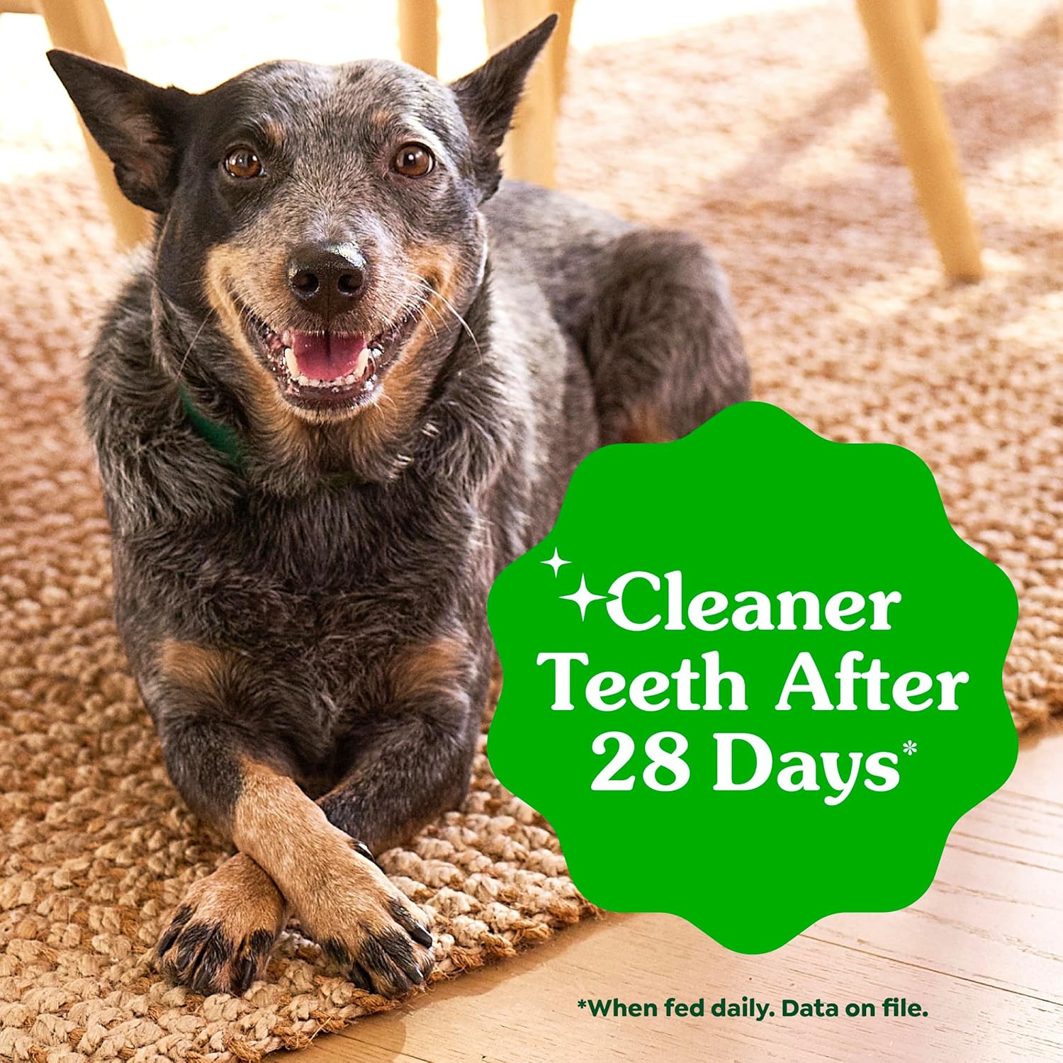 Greenies Original Dental Treats