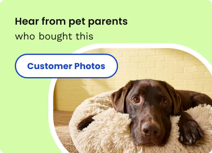 Native Pet Daily Dog Vitamins
